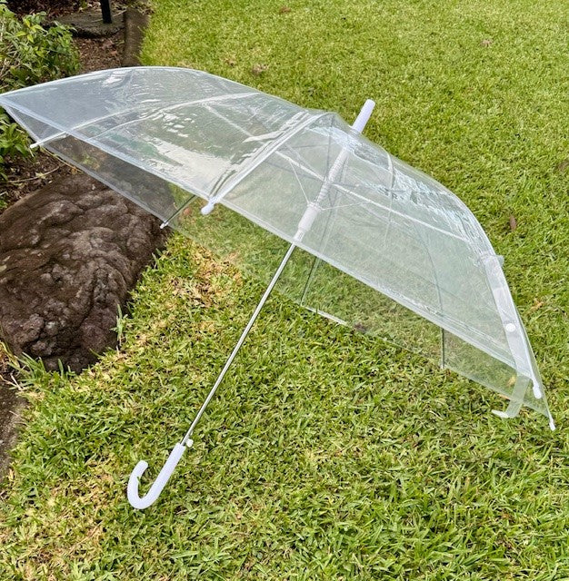 Clear Umbrella