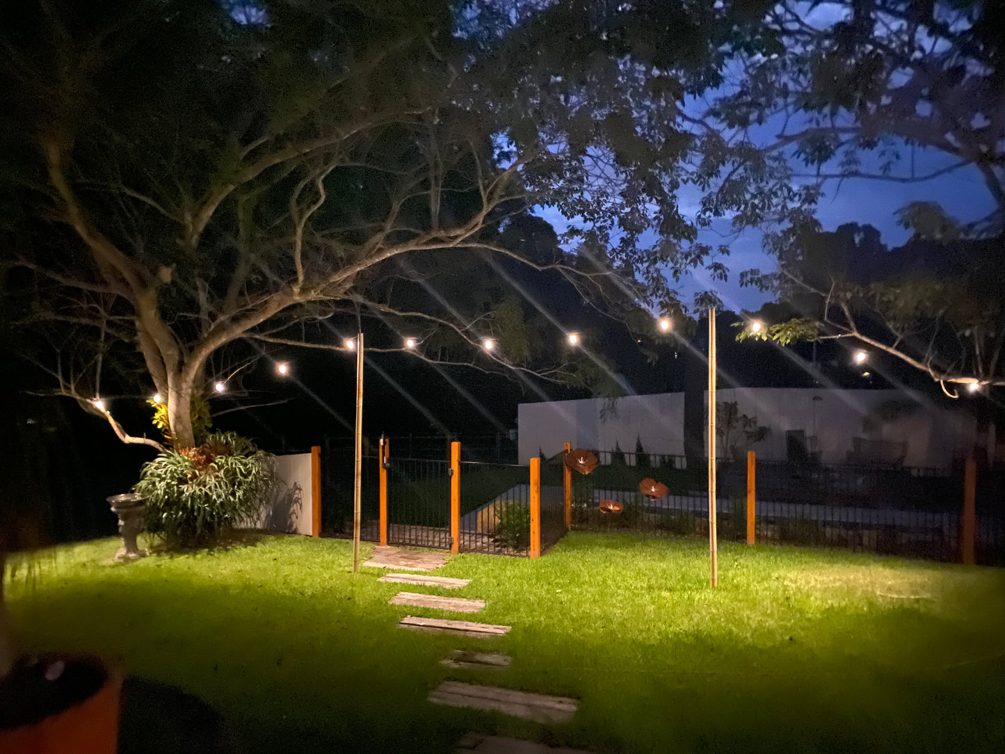 Festoon LED Lights - 25m