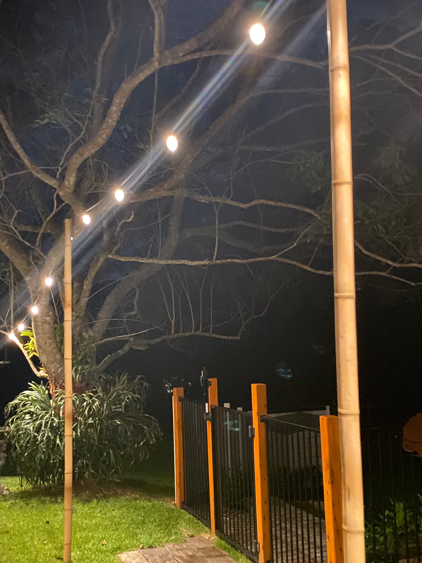 Light Stands - Bamboo or Steel