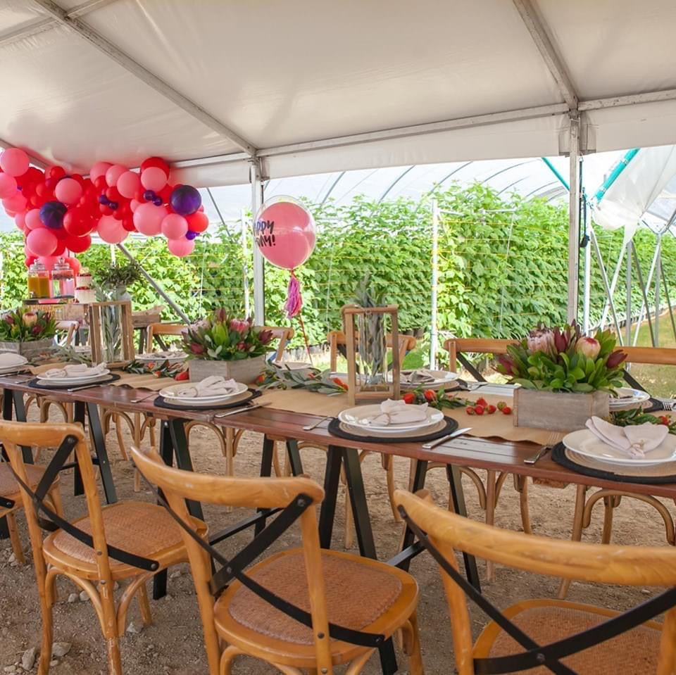 6 Meter Pavilion Marquee - White Roof - POA