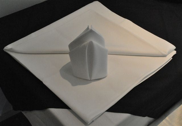 Napkin