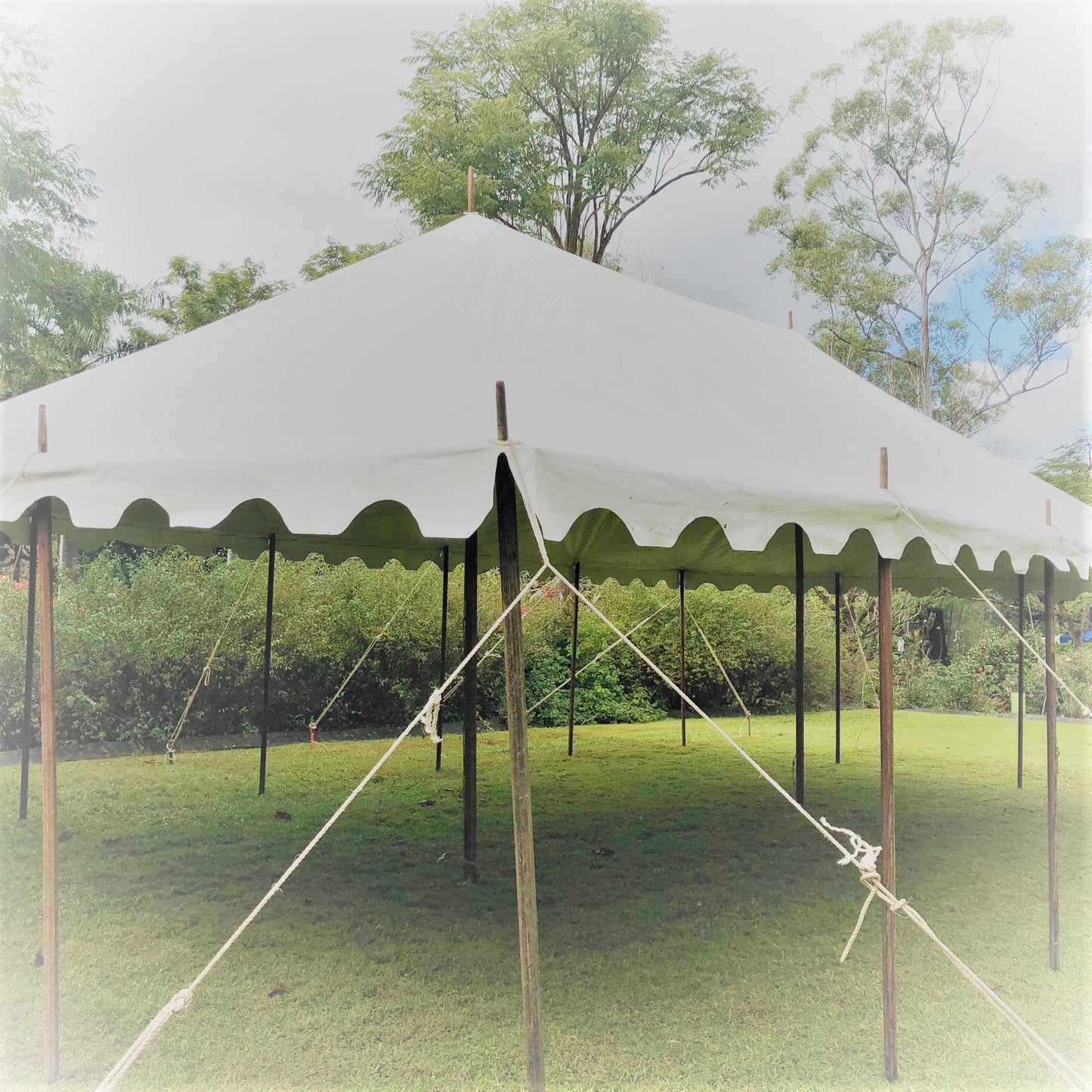 Rope Peg & Pole Marquee - Various Sizes - POA